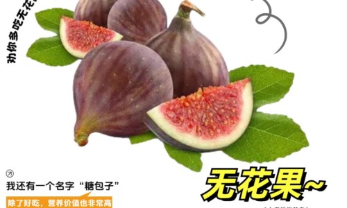 禅宗果的功效-禅宗的功效网 - 网站提供禅宗样小常识、禅宗的功效与作用